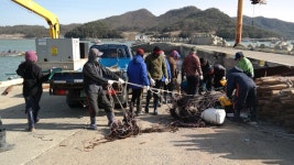 금갑어촌계 | 상세 | 릴레이 활동내역 등록 : 진도군청