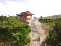 네이버 검색 결과 사진 1