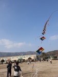 www.jne.go.kr
