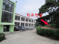 게시물 보기 페이지