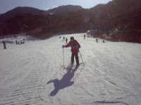 게시물 보기 페이지