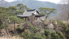 정보공개 > 폐교재산활용 > 시군별폐교현황 (전체) | 전라남도교육청