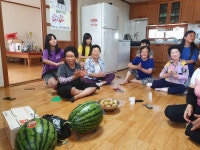 학교소식 | 전남도교육청 홍보마당