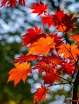입산(入山) - 종로마을 N 입산(入山)