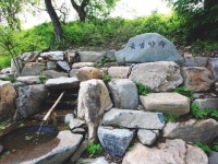 좌구산 자연휴양림 < 여행답사기 < 추천관광 < 문화관광