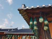 주말농장체험 < 추천관광 < 문화관광