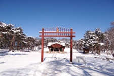 서삼릉의 예릉 - 여행기 - 문화유산뉴스 - 문화유산채널 서삼릉의 예릉