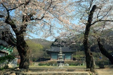 신원사대웅전 - 유형문화재 사진전 - 사진 - 문화유산채널 문화유산채널