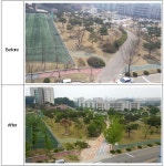  KAIST