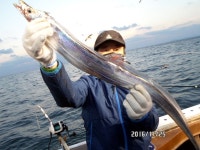 물반고기반 쿨러마다 꾹꾹 담아 오셨네요.