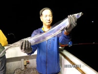 갈치조황++ - [뉴호프] 연일 쿨러조황을 이어가네요