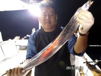 갈치조황++ - [뉴호프] 연일 쿨러조황을 이어가네요