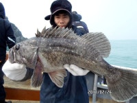 바다낚시 > 점주선장조황 > 씨알좋은 우럭들로 오전에 승부하고 오후에는 마릿수로 좋습니다. 씨알좋은 우럭들로 오전에 승부하고 오후에는...