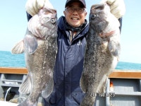 (南)남해조황 - [해호낚시] 가거도 만재도 우럭조황 좋습니다.