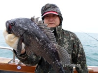 (南)남해조황 - [해호낚시] 가거도 만재도 우럭조황 좋습니다.