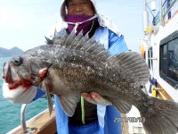 (南)남해조황 - [해호낚시] 가거도 만재도 우럭조황 좋습니다.