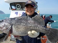 (南)남해조황 - [해호낚시] 가거도 만재도 우럭조황 좋습니다.