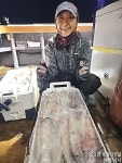 (南)남해조황 - [여수해호낚시] 한치 장원 140여수 대다수 조사님들이 세자리 넘기셨네요.