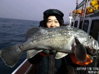 (南)남해조황 - [해호낚시] 싸이즈 좋은 우럭열기로 손맛보고 왔습니다.
