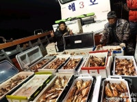 바다낚시 > 점주선장조황 > [여수해호낚시] 16일 다잡아 전투낚시로 넉넉하게 담아왔습니다.