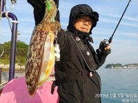 쭈.갑 먹물조황+ - [해호낚시] 어린이날 슈퍼갑돌이 사냥 다녀왔습니다.(내일도 자리여유 있습니다.)