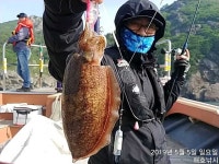 쭈.갑 먹물조황+ - [해호낚시] 어린이날 슈퍼갑돌이 사냥 다녀왔습니다.(내일도 자리여유 있습니다.)
