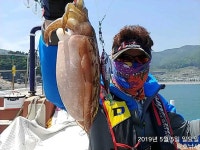 쭈.갑 먹물조황+ - [해호낚시] 어린이날 슈퍼갑돌이 사냥 다녀왔습니다.(내일도 자리여유 있습니다.)