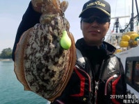 쭈.갑 먹물조황+ - [해호낚시] 어린이날 슈퍼갑돌이 사냥 다녀왔습니다.(내일도 자리여유 있습니다.)