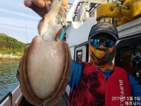 쭈.갑 먹물조황+ - [해호낚시] 어린이날 슈퍼갑돌이 사냥 다녀왔습니다.(내일도 자리여유 있습니다.)