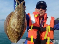 쭈.갑 먹물조황+ - [해호낚시] 어린이날 슈퍼갑돌이 사냥 다녀왔습니다.(내일도 자리여유 있습니다.)