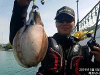 쭈.갑 먹물조황+ - [해호낚시] 어린이날 슈퍼갑돌이 사냥 다녀왔습니다.(내일도 자리여유 있습니다.)