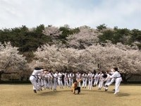 경북전문대학교