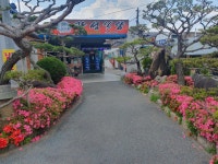 무장애 나들이 코스 서천군장애인종합복지관의 남원으로 가봄 나들이