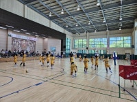 KB손해보험 스타즈 배구단