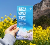 소비자시대 웹진 제주여행의 시작! 당신의 여행이 안전하고 행복하도록 제주엔젤렌트카