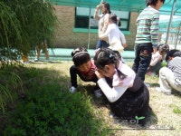 환경교육포털사이트 - 곡성 옥과초교 1~2학년 곡성 옥과초교 1~2학년