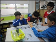 환경교육포털사이트 - 함안 가야초등학교 5학년5반함안 가야초등학교 5학년5반