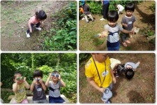 환경교육포털사이트 - 2018-07-13 오전 헨델어린이집 2018-07-13 오전 헨델어린이집