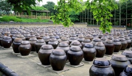 KF뉴스레터-Breathing Earthenware Rich in Korean Tradition and Flavor 한국국제교류재단 KF