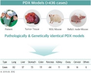 연구인프라<KRH 네트워크-연구중심병원