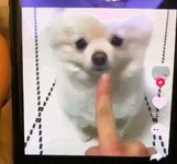 	너도 이렇게 잘 좀 해봐 개쇙키야 - 킥오프 너도 이렇게 잘 좀 해봐 개쇙키야