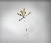 경일대학교 디자인학부