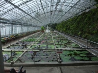 KJCLUB - 이즈(izu) 반도 짧은 여행＆음식 4   