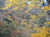 KJCLUB - 가을의, 나가노(nagano)·야마나시(yamanashi) 체재＆음식 3   