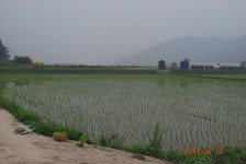 사람사는세상 노무현재단  