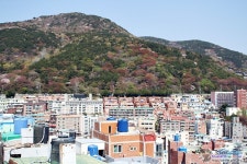 사람사는세상 노무현재단  