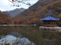 내장산<공지사항<열린국립공원<국립공원공단 