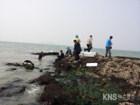 목포시, 수산종묘 방류 자원 조성 - KNS뉴스통신 목포시, 수산종묘 방류 자원 조성