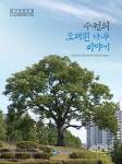 “광교산에 있는 느티나무 보호수는 누가 심었을까?” - KNS뉴스통신 “광교산에 있는 느티나무 보호수는 누가 심었을까?”