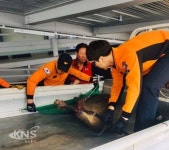 [포토뉴스] 청주 문화제조창 주변 안덕벌에 멧돼지 출현 소동 - KNS뉴스통신 [포토뉴스] 청주 문화제조창 주변 안덕벌에 멧돼지 출현 소동